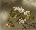 Colibrí y flores de manzano Flor romántica Martin Johnson Heade
